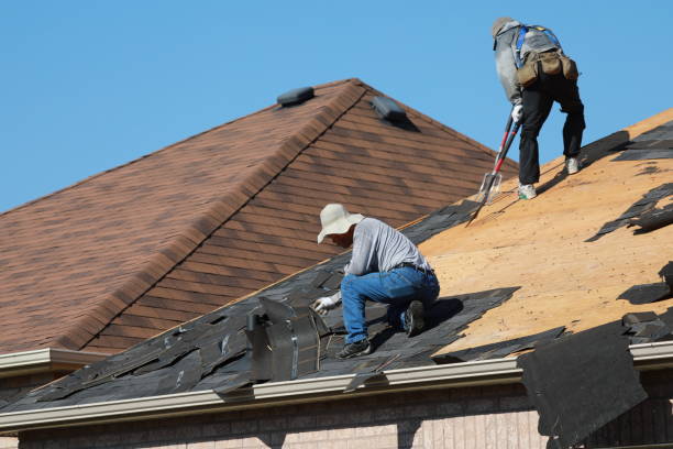 Best Gutter Installation and Repair  in Nicholson, GA