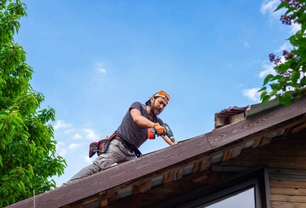 Best Sheet Metal Roofing  in Nicholson, GA