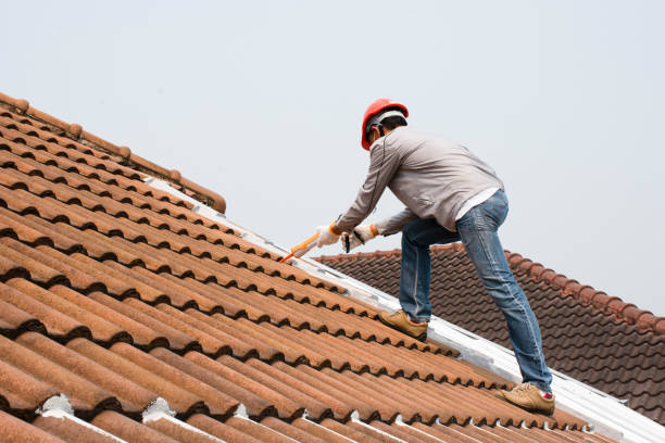 Best Roof Installation  in Nicholson, GA