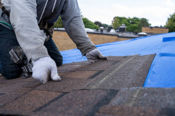 Emergency Roof Repair in Nicholson, GA