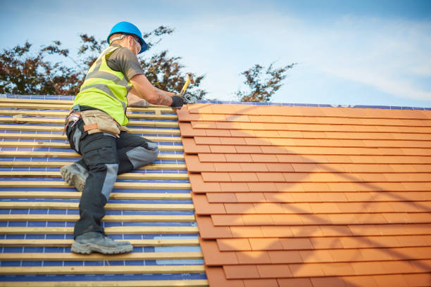 Best Storm Damage Roof Repair  in Nicholson, GA